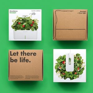 AKU – Click and Grow Strawberry Smartpot
