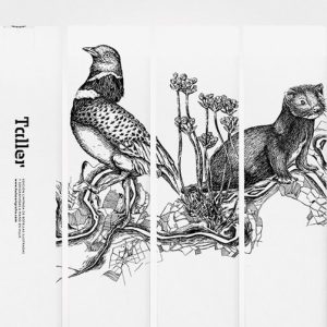 Hula: Diseño y serigrafía – Taller