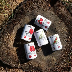 CreativeByDefinition – Canned Vegetables