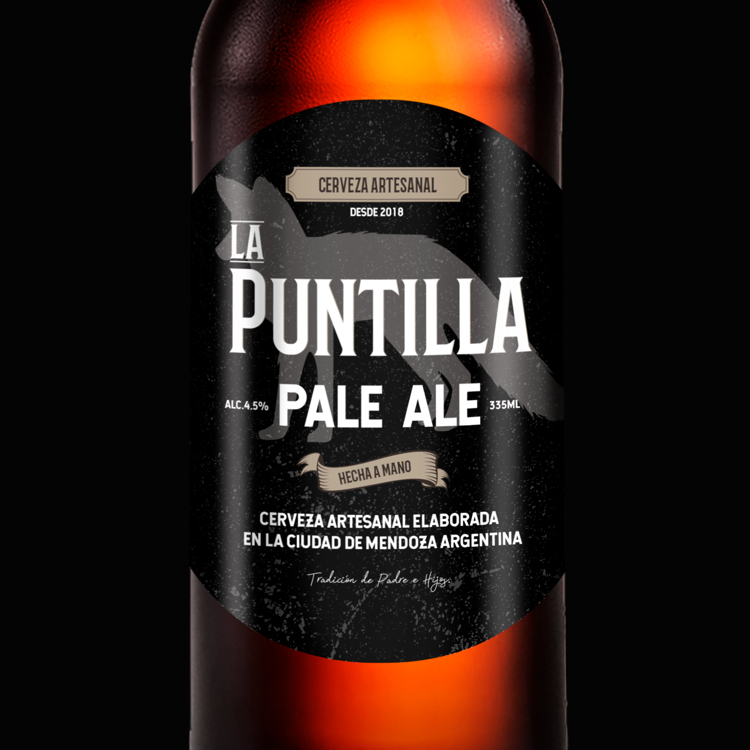 Consumer Brand Creation for Argentinian Beer