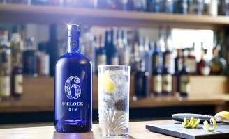 Green Chameleon – 6 O’Clock Gin Redesign