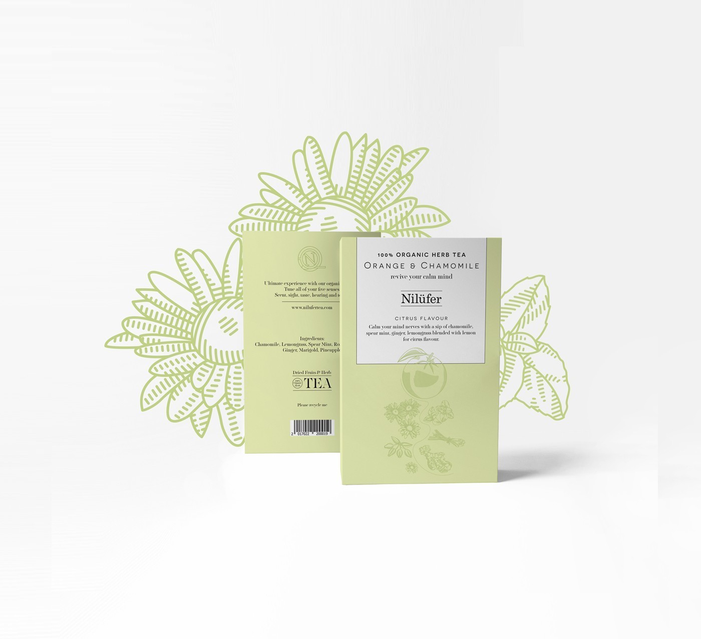 Corn Studio – Nilüfer Organic Herb Tea