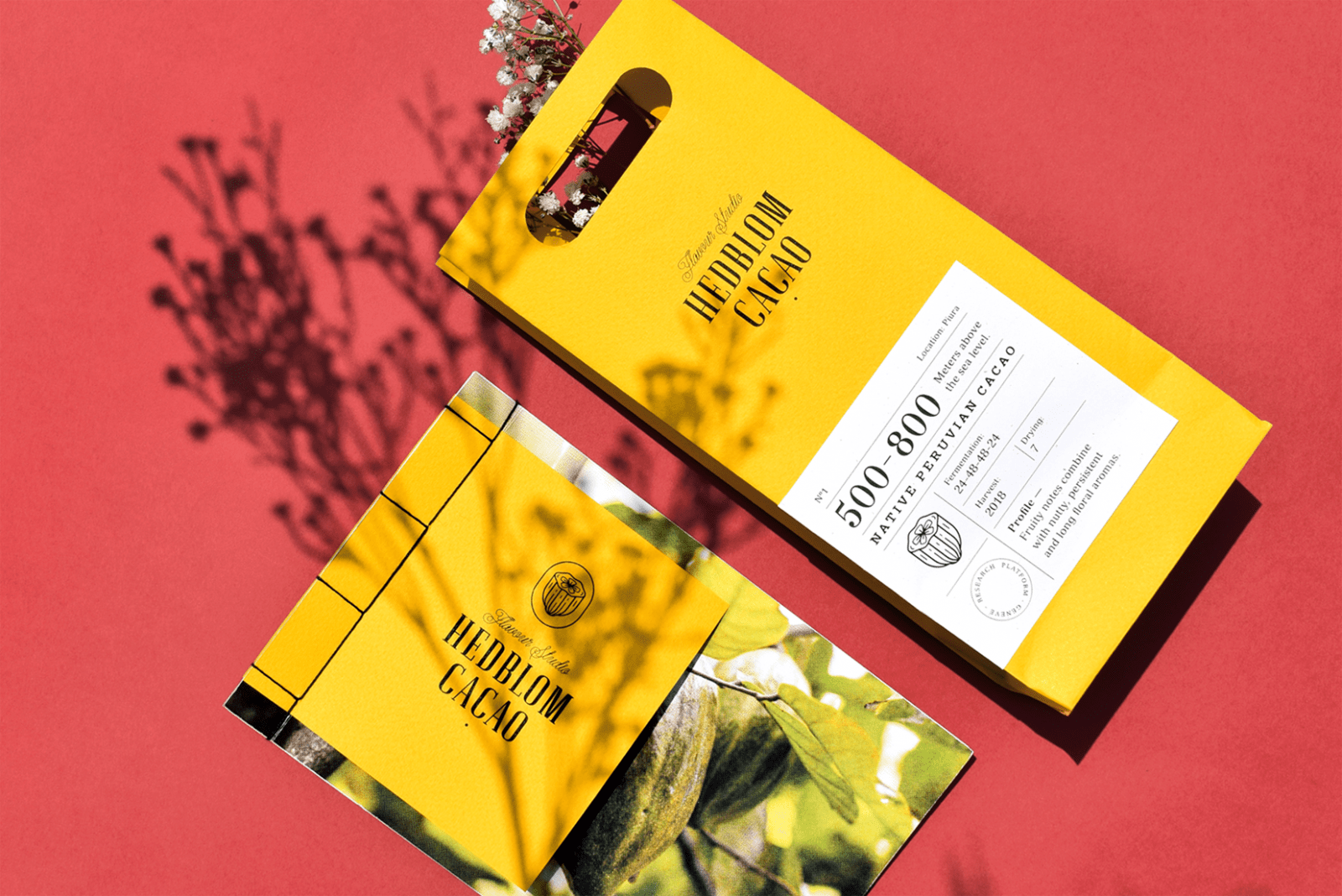 Branding for Cacao Flavour Studio from Switzerland