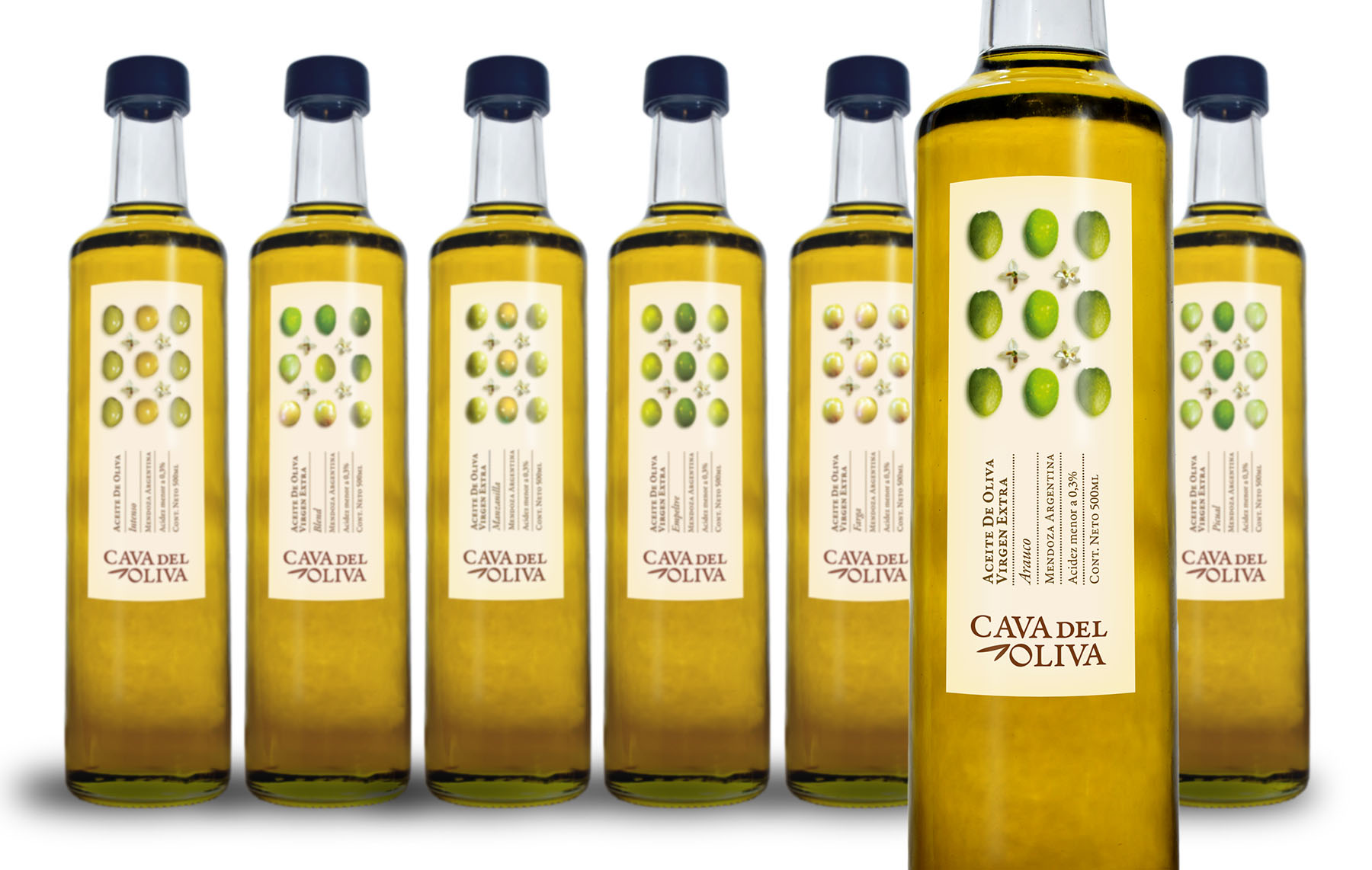 Belén Paoletti – Cava del Oliva