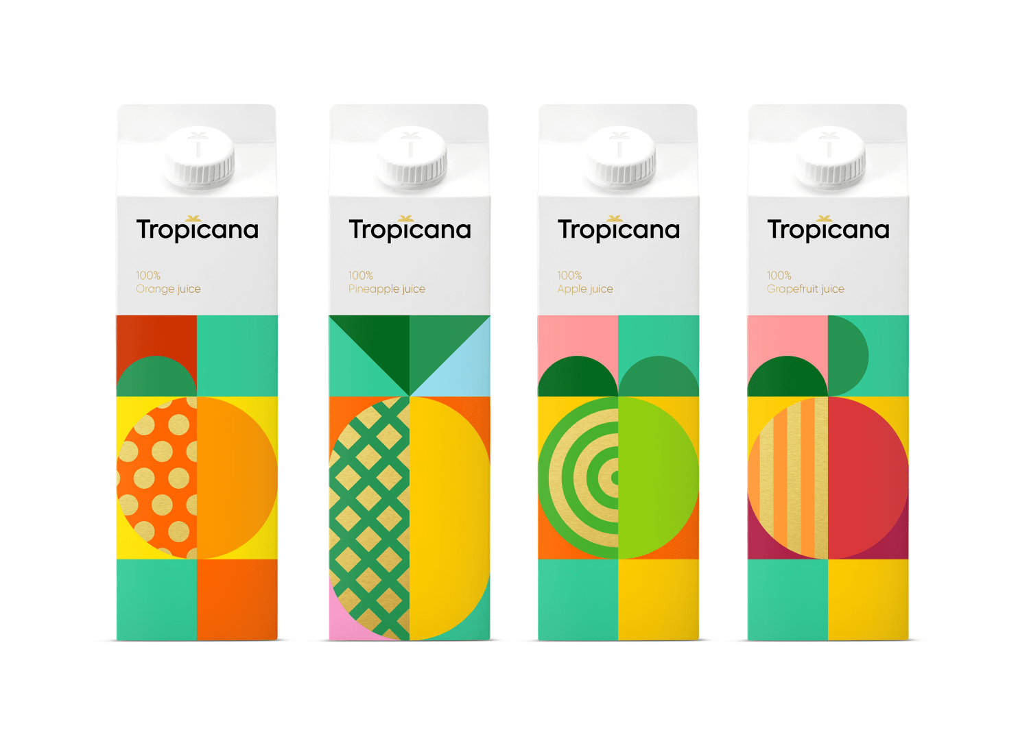 Concept Design for Tropicana with Clear Simplicity and Geometry