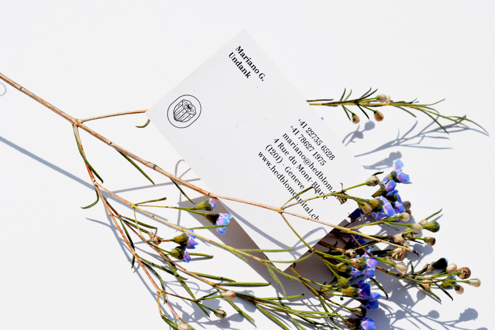 Branding for Cacao Flavour Studio from Switzerland / World Brand Design Society