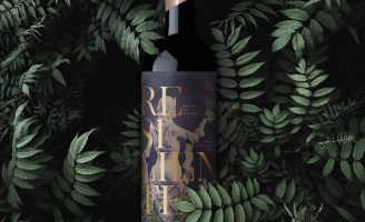 Brand Creations and Label Design for Argentina Wine