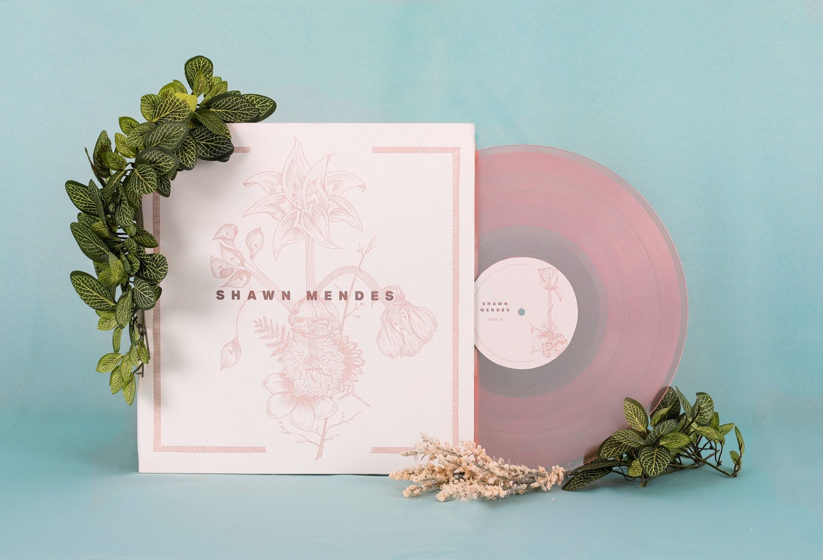 Full Record Packaging Design for Shawn Mendes