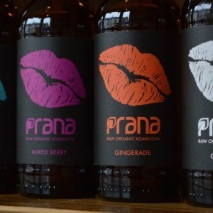 Clik – Prana Drinks Raw Organic Kombucha