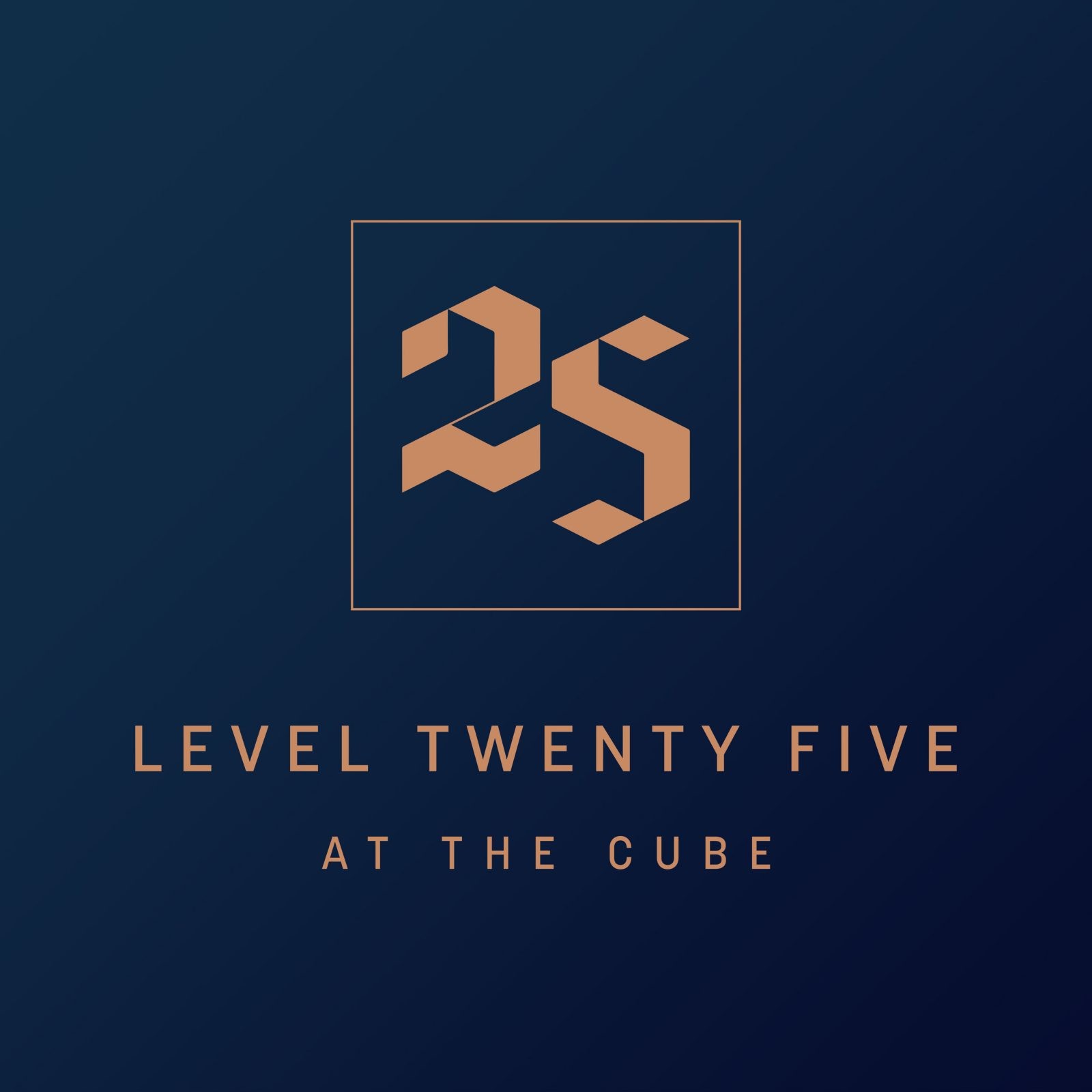 Level Twenty Five Branding by Concept 22