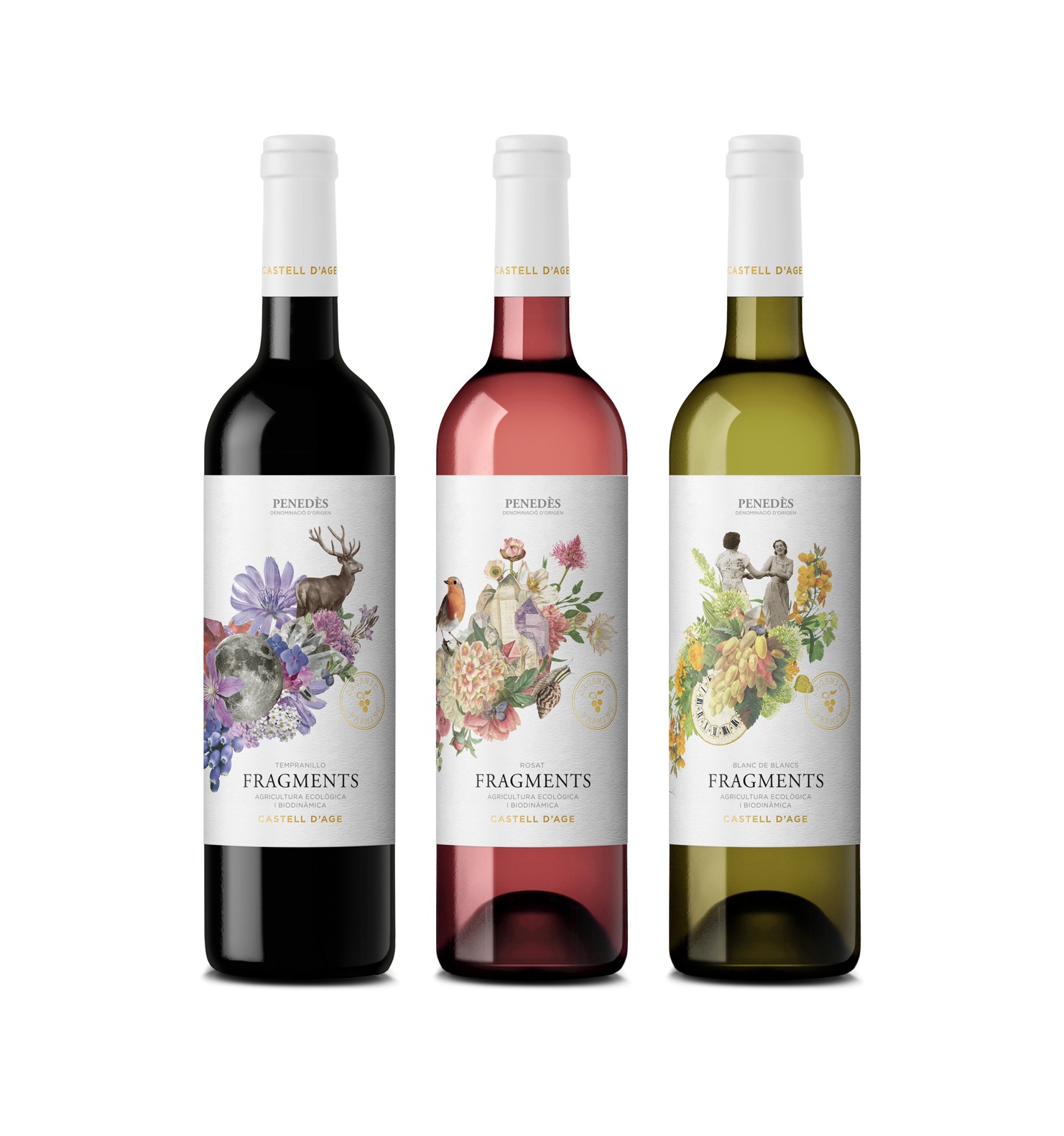 Fragments Wines Label Design