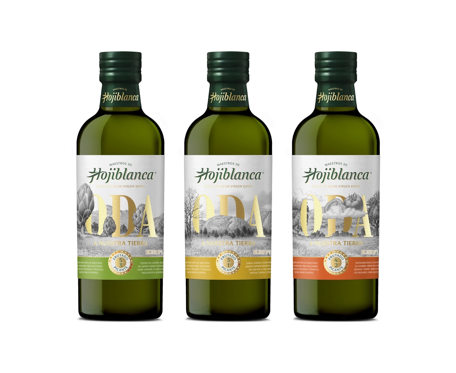 Packaging Design for Premium Olive Oil Maestros de Hojiblanca