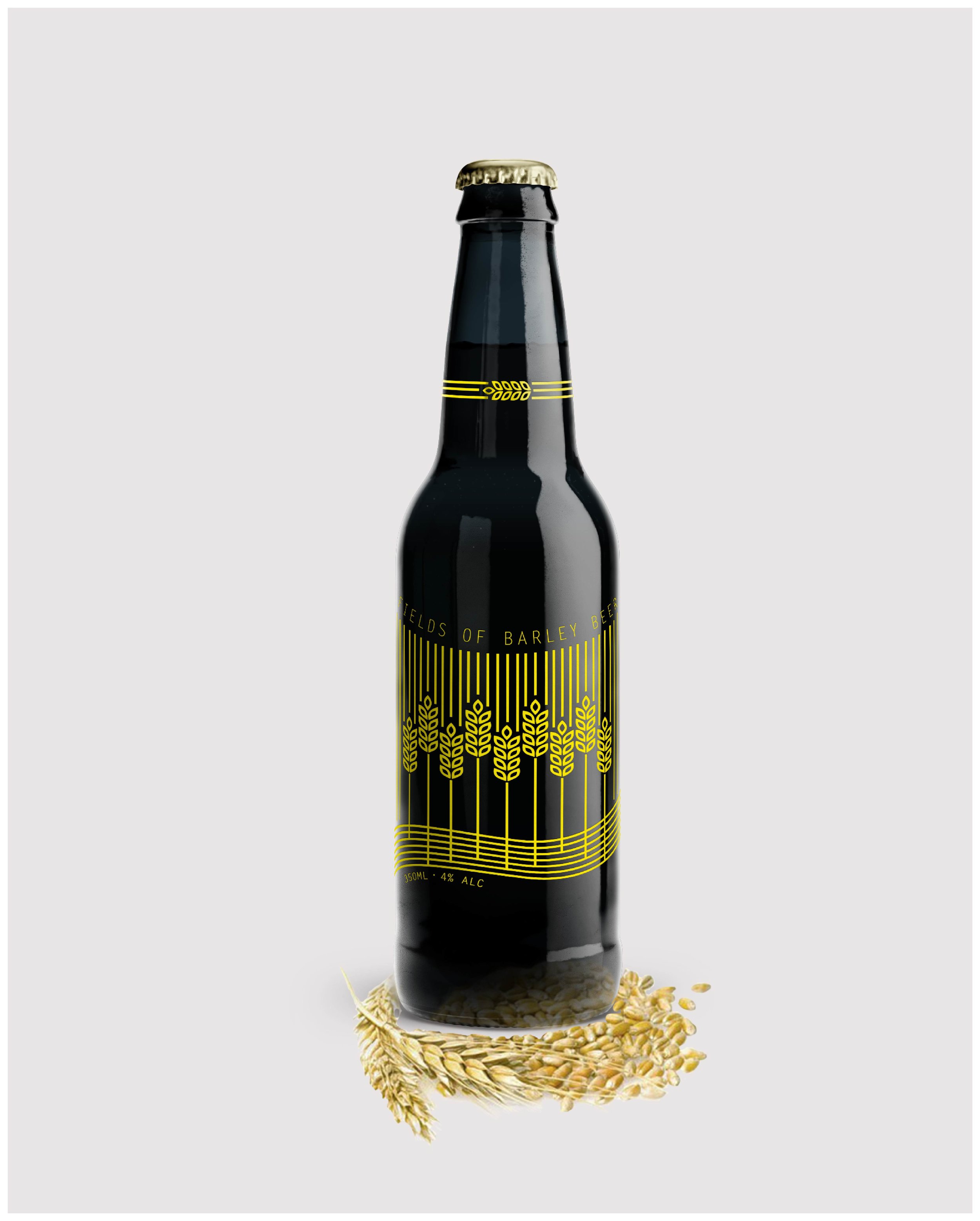 Swedish Craft Beer Brand Design Concept