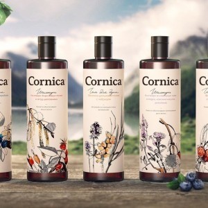 Funky Business – Cornica