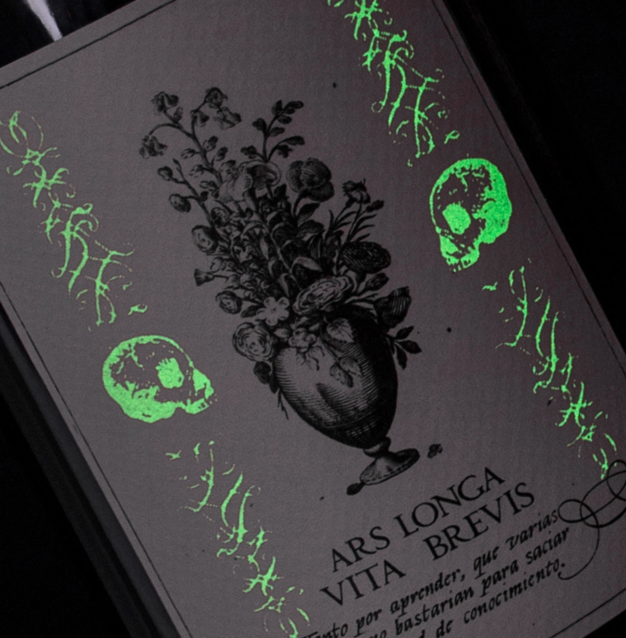 Consumer Brand Creation for Spanish Wine