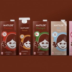 IDna Group – MATILDE