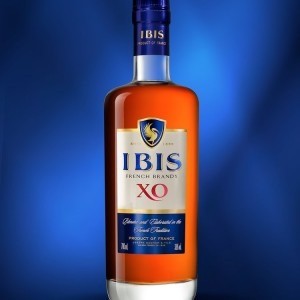 LINEA Agency – Ibis French Brandy