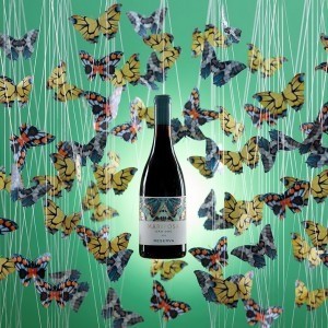 M&A Creative Agency – Quinta da Mariposa