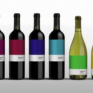 Nano Alfonsin – Minimalista (concept)