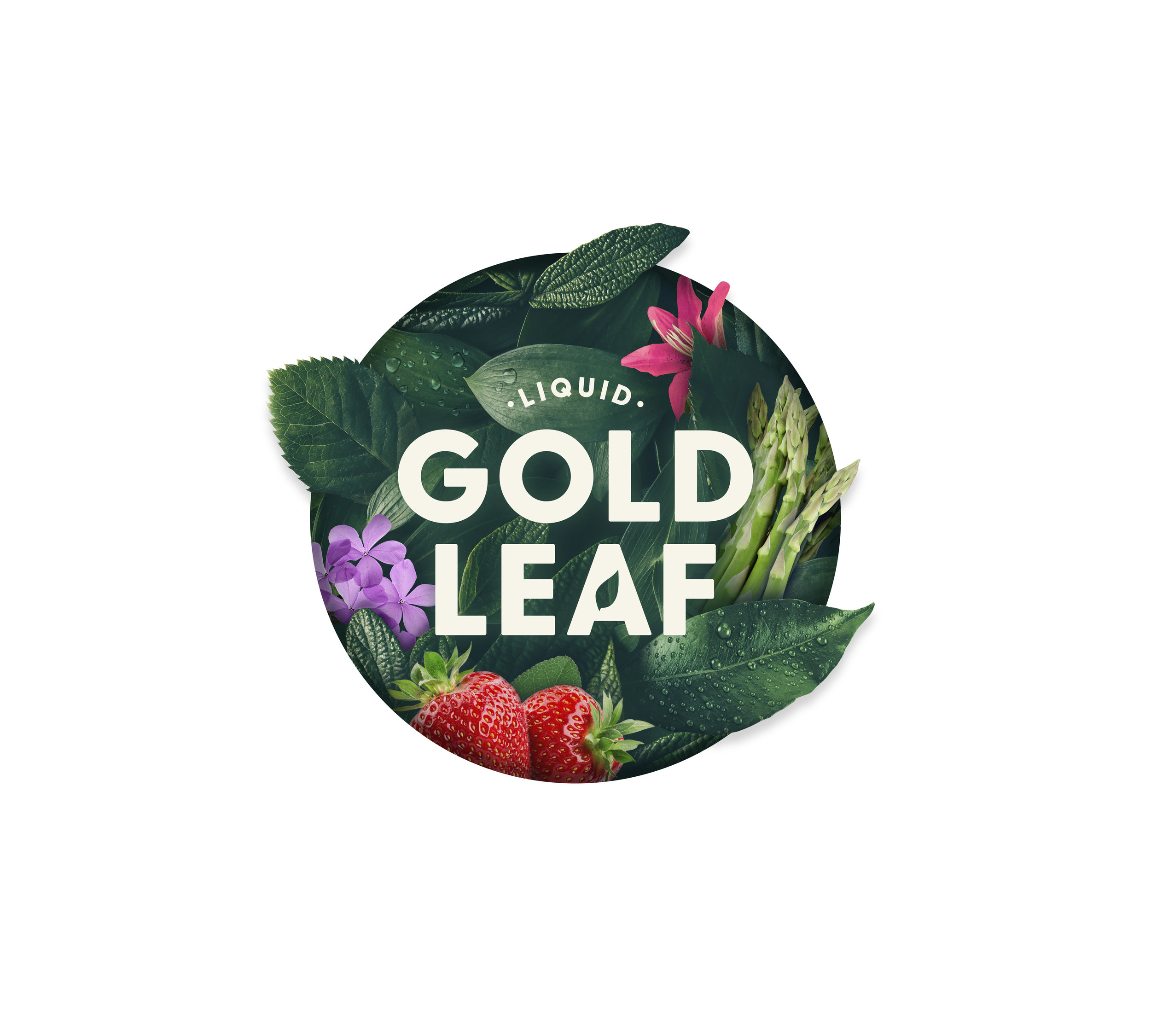 Q+H London’s Brand Creation for Gold Leaf Liquid Fertiliser