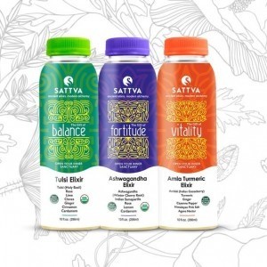 Terry Fernando – Sattva LLC