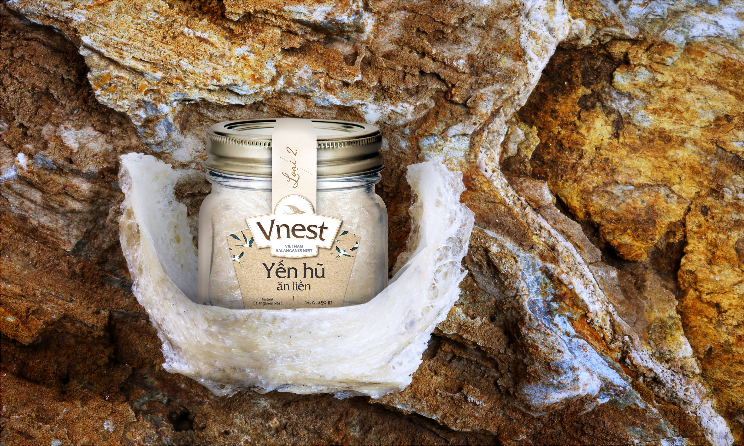 Vietnamese Consumer Brand Creation and Packaging Design for Nutritional Food Supplements