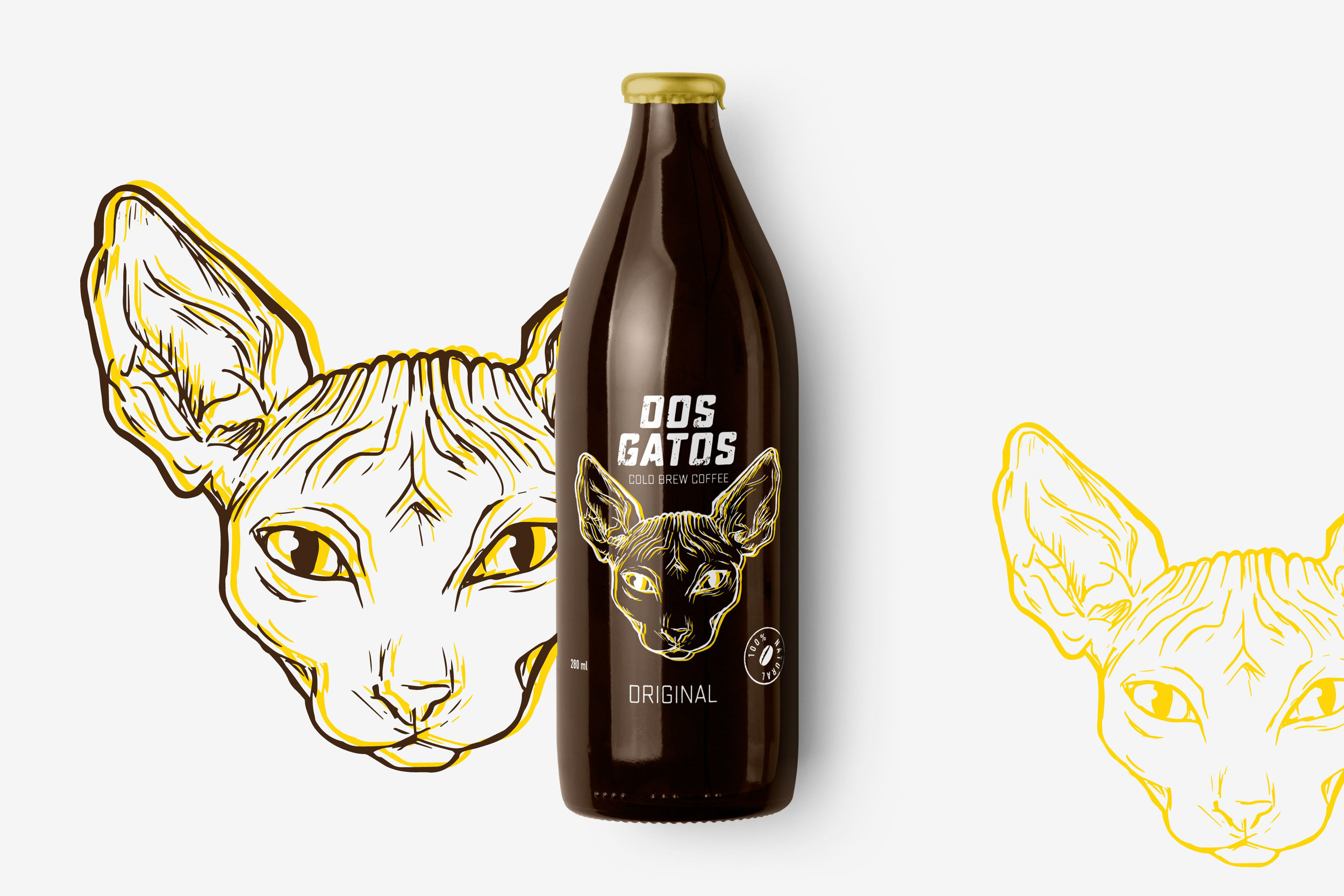 UVA STUDIO – DOS GATOS Cold Brew Coffee