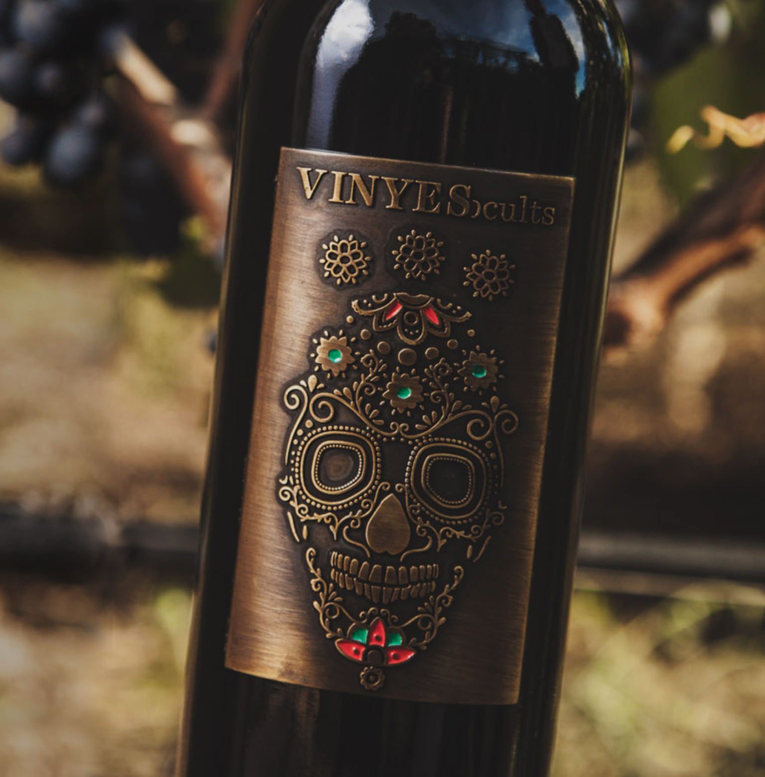 Strong, Rustic and Enigmatic Skull Wine Label Design from Argentina