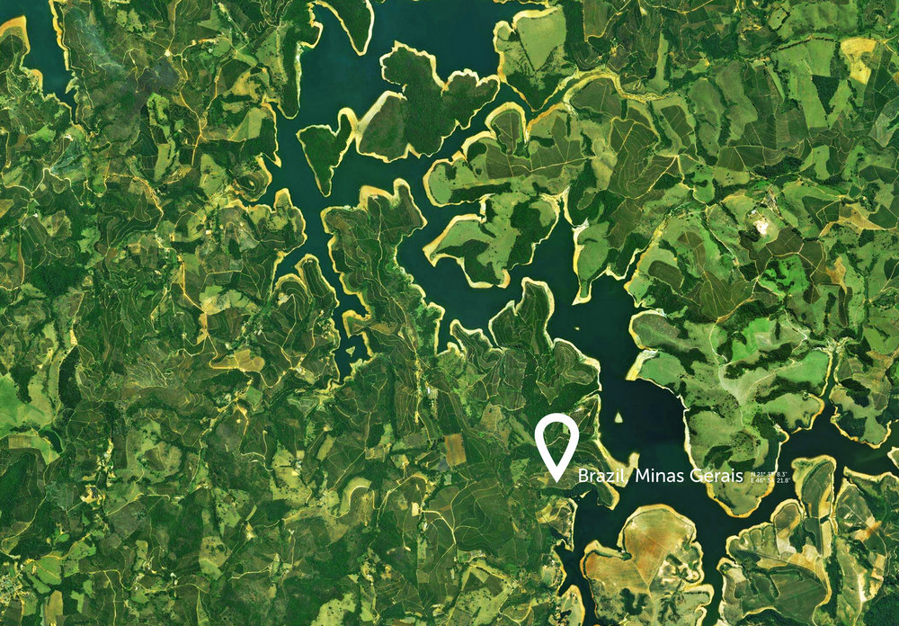 Vsevolod Coffee bean here (Concept) World Brand Design Society