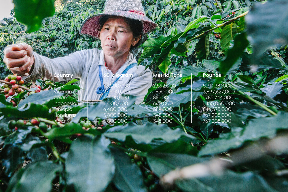 Vsevolod Coffee bean here (Concept) World Brand Design Society