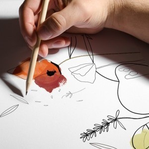 ISABEL CABELLO STUDIO – Nobleza del Sur