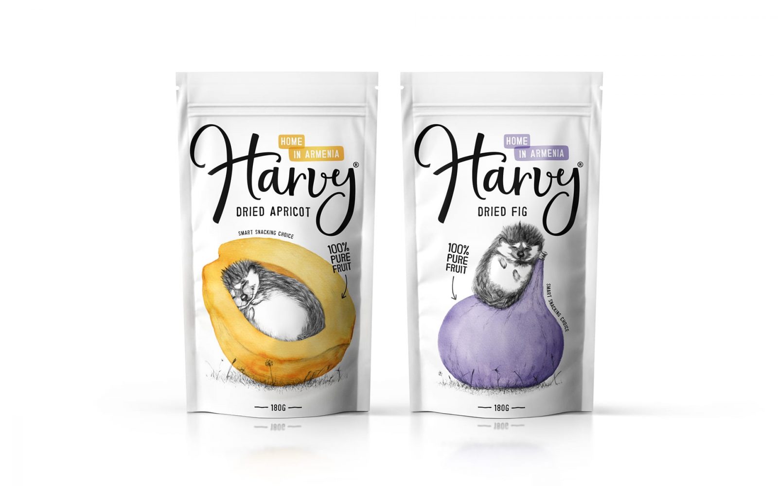 Brand and Packaging Creation for “Harvy Dried Fruits”