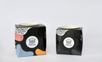 Student Packaging Design Concept for Dog Ice Cream Brand