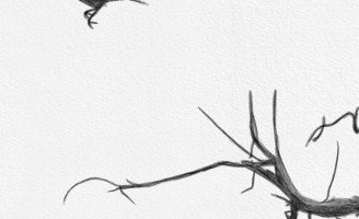 Kommigraphics – Dryads