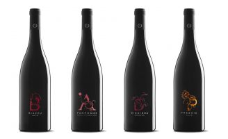 Bluestepstudio – Lilliu Winery