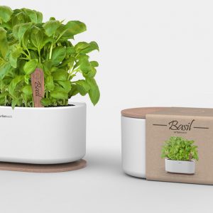 Andrea Mangone – URBAN OASIS