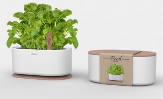 Andrea Mangone – URBAN OASIS