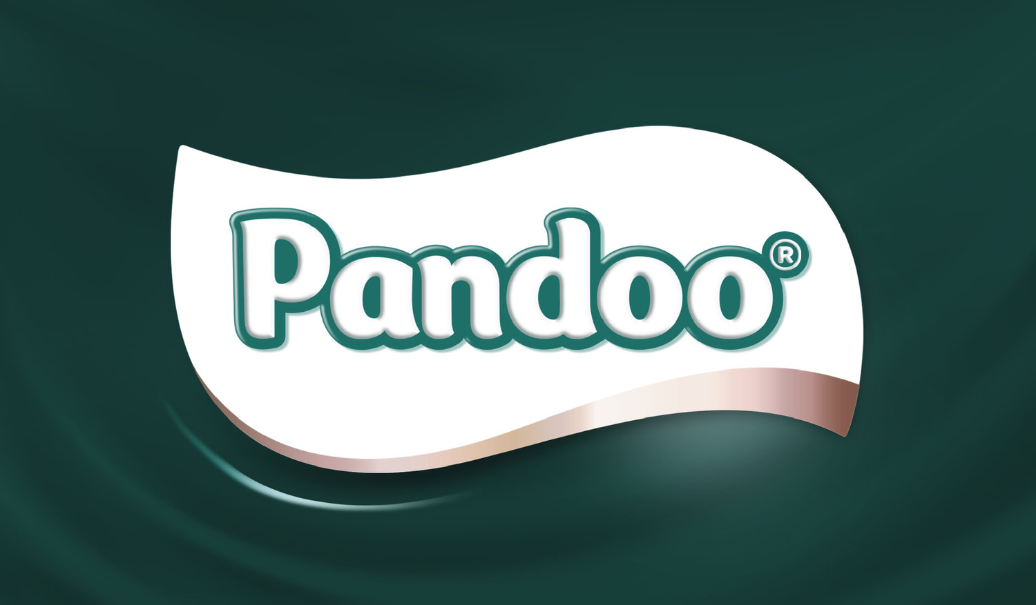 Branding and Packaging Design for Pandoo