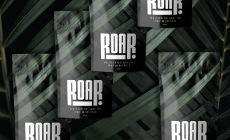 Roar Fruit and Nut Balls Branding and Packaging