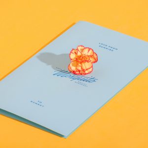 Mosquito Brand Identity