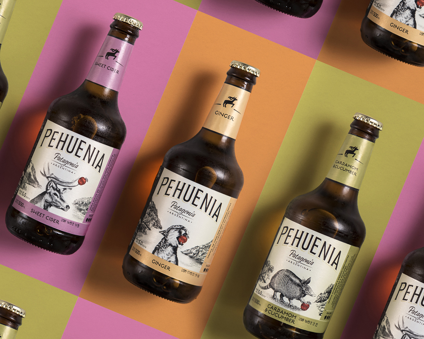 Brand and Packaging Design for a Patagonian Cider