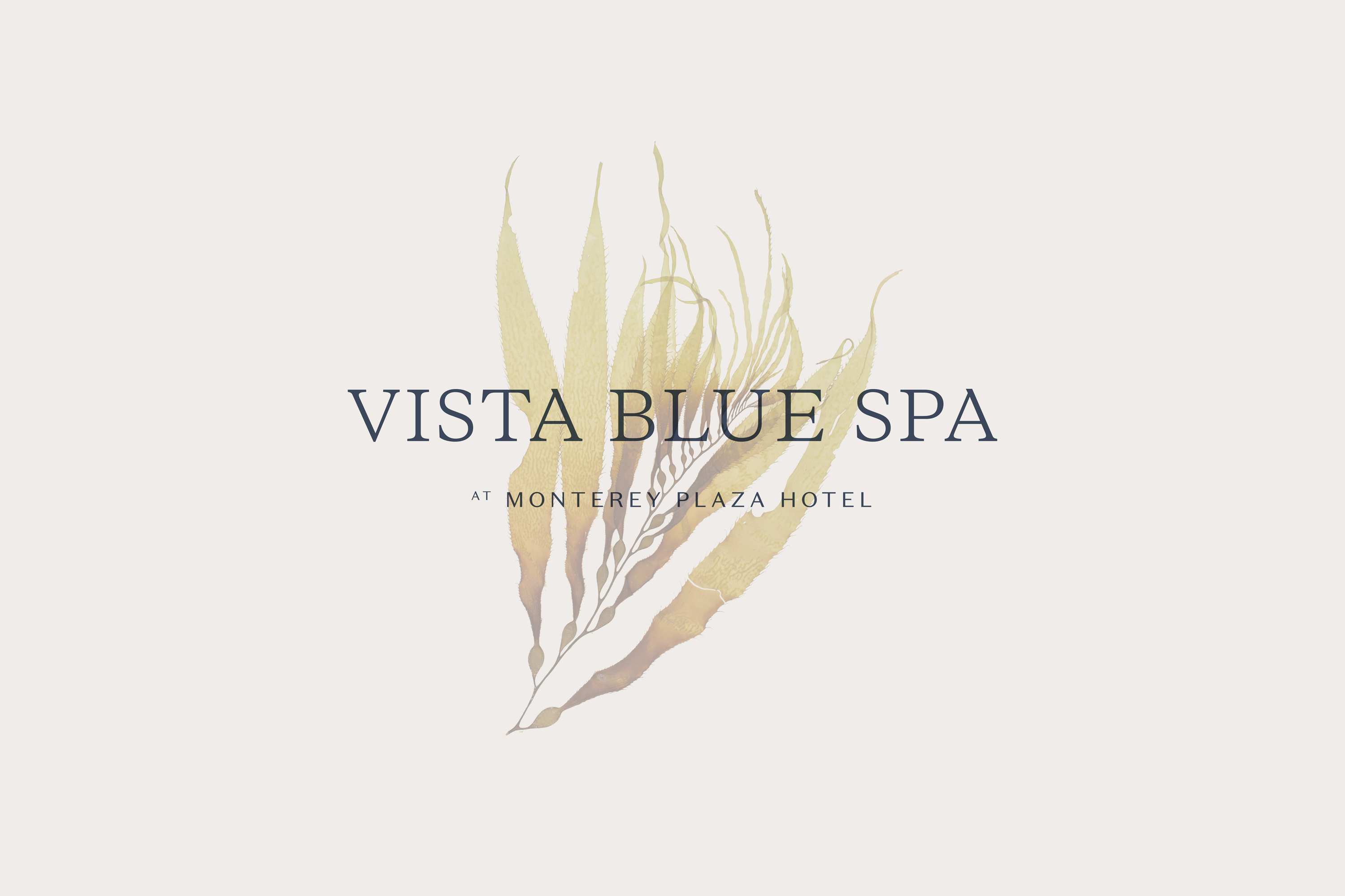 A Timeless Rebrand for High-End Monterey Spa