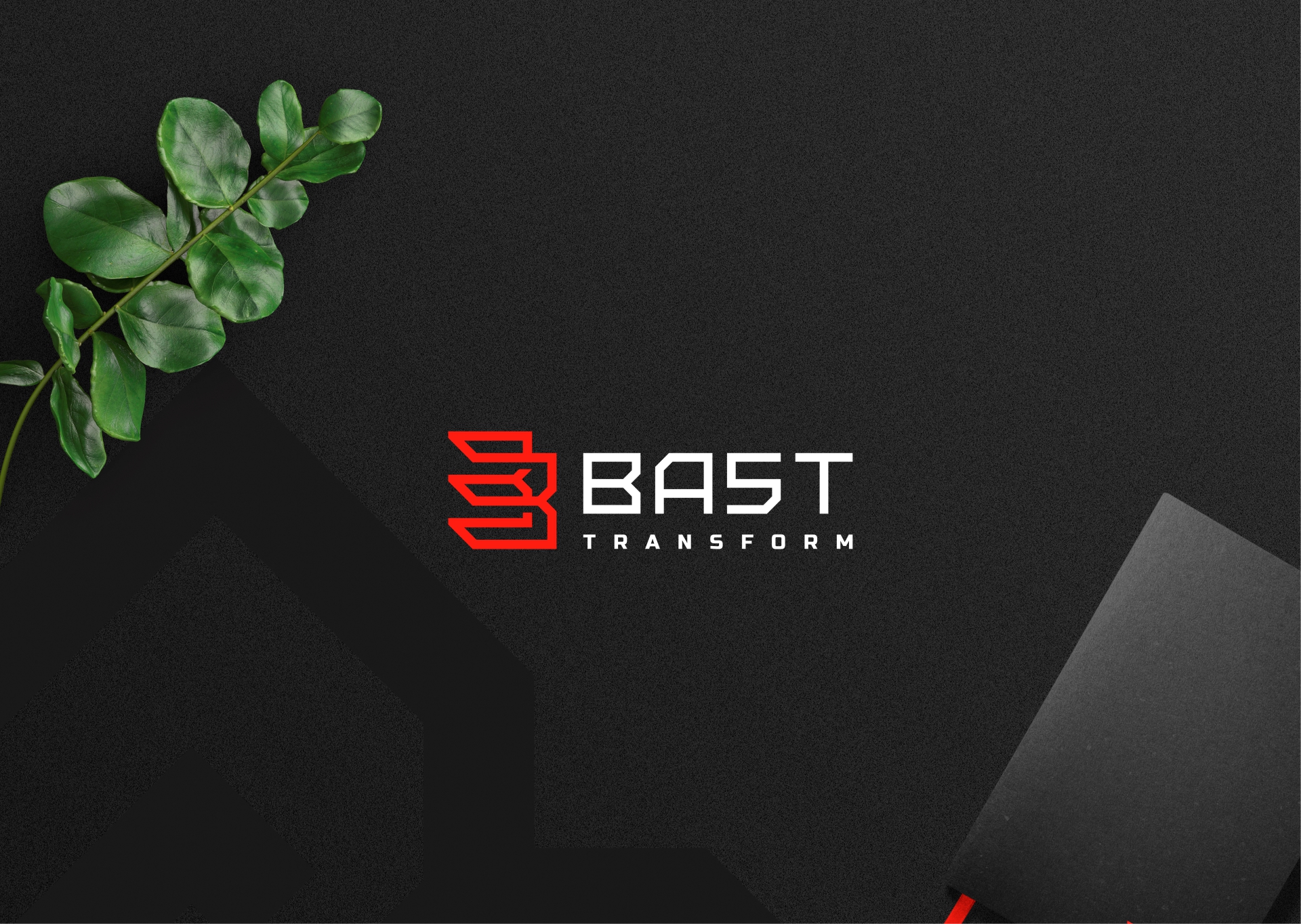 BAST | Space Transform