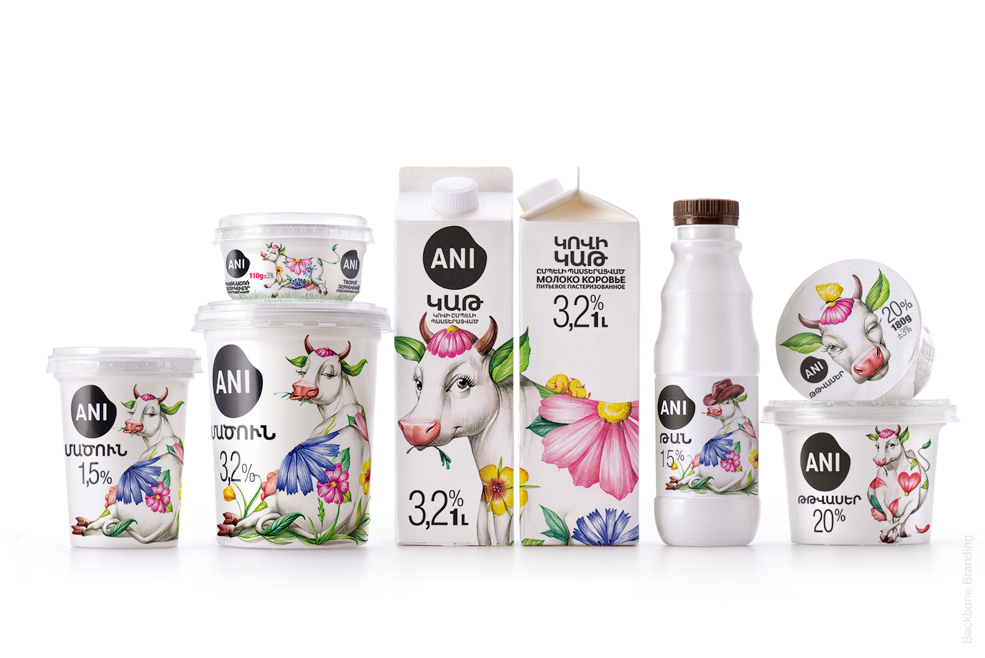 The Rebranding of a Dairy Product Line