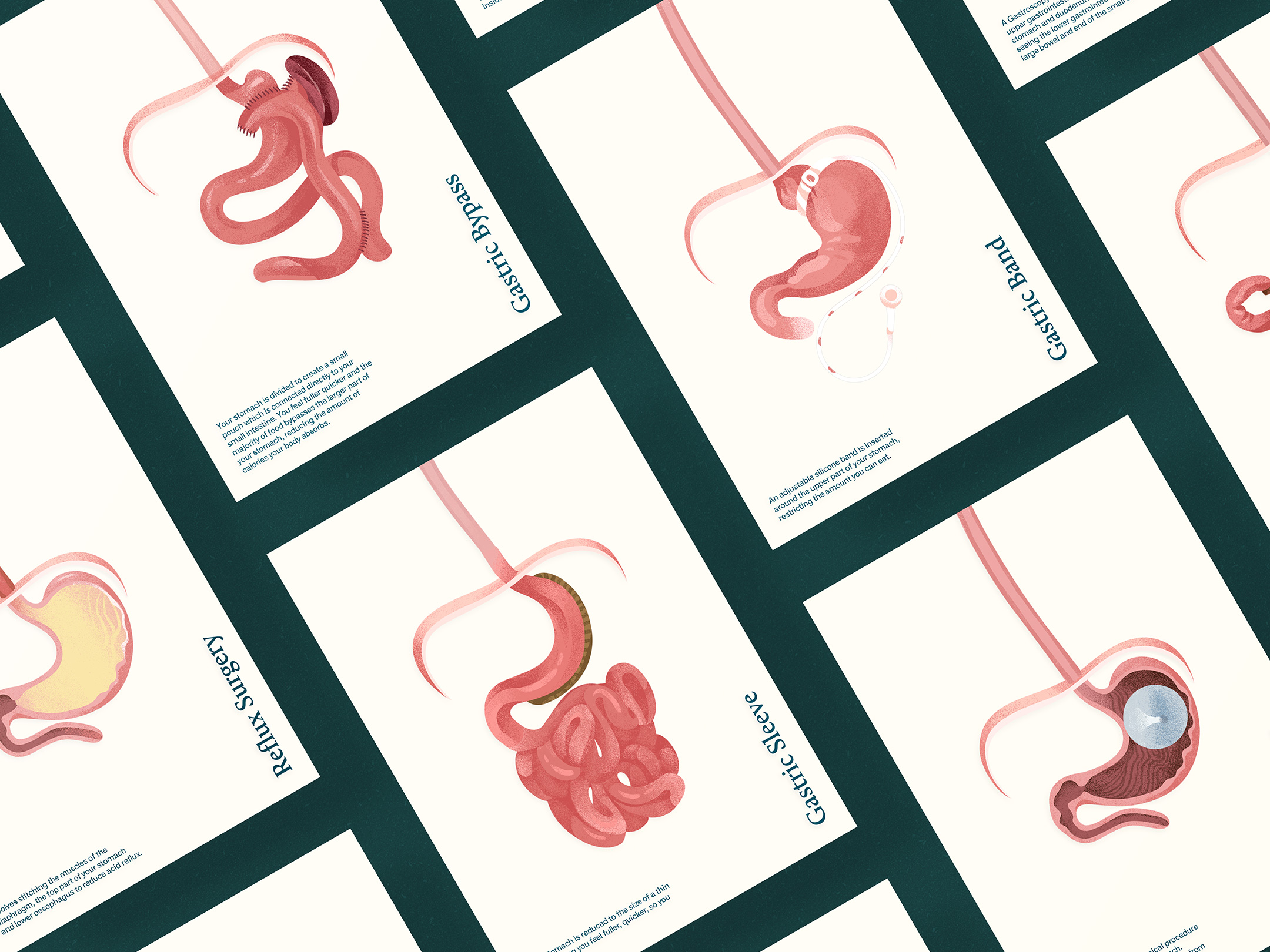 Brand Identity for Bariatric Surgeon