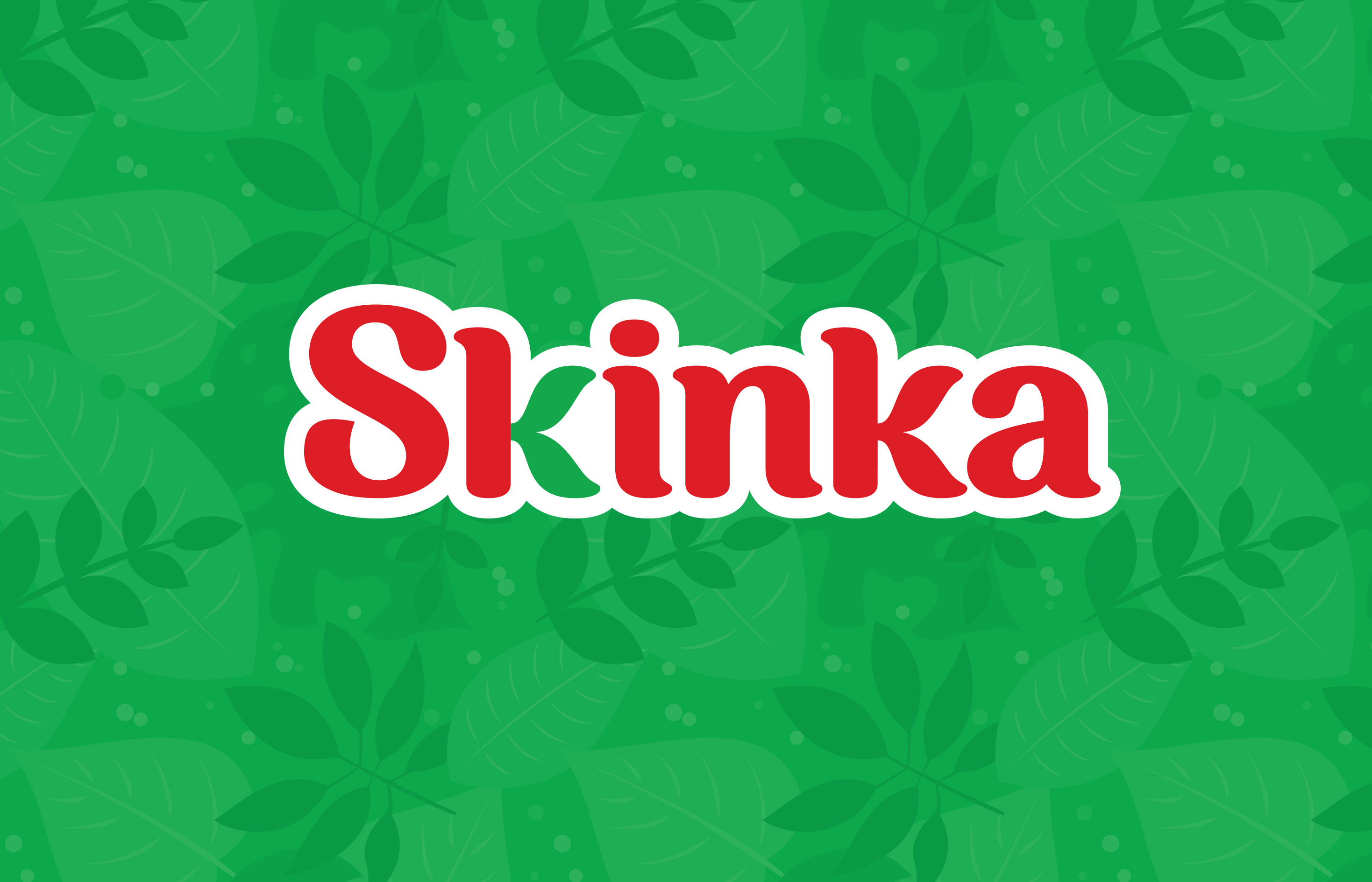 Skinka Rebranding Revamps Packaging and Puts Its Chips in New Look