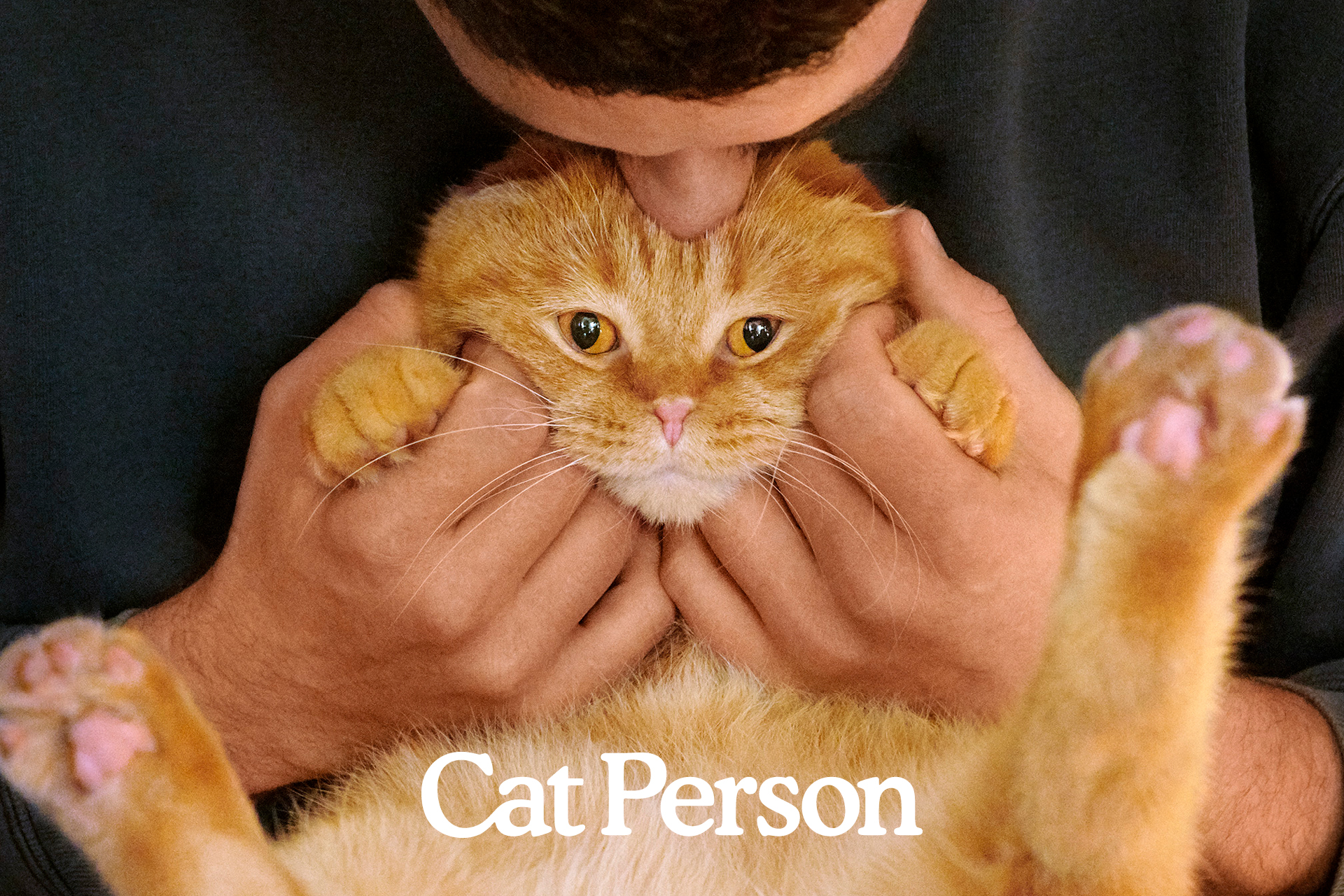 Cat Person: Brand Identity and Packaging Design