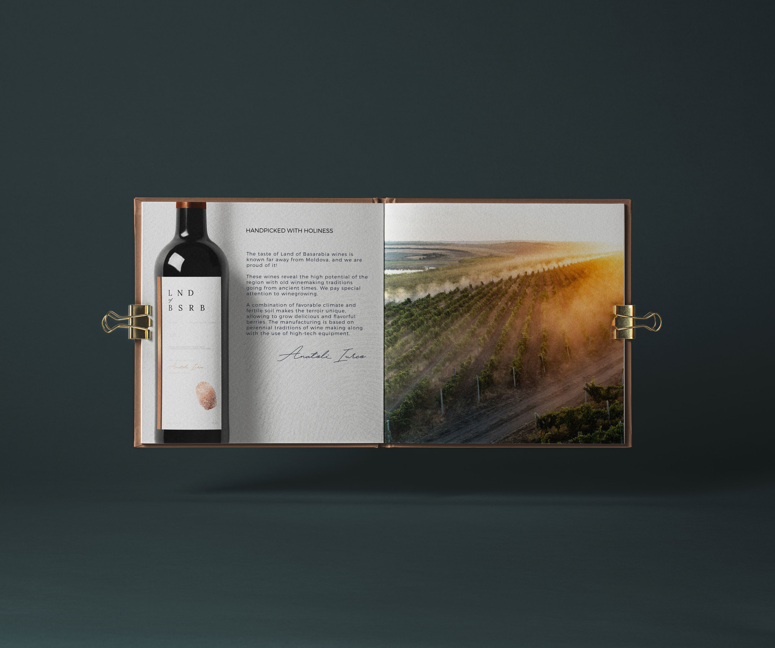 Premium Wine Branding and Packaging for Land of Basarabia