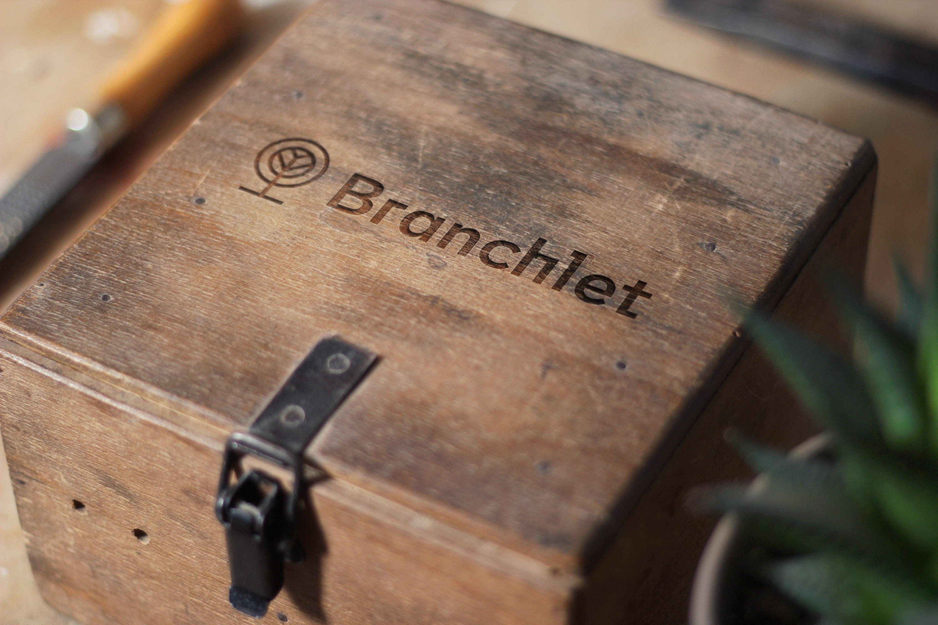 Branding and Design for Branchlet Handmade Accessories by Aleksandar Nofitoski