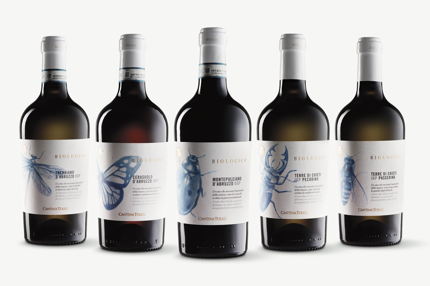 New Organic Wine Line Cantina Tollo: Our Tribute to Nature by Concept Store